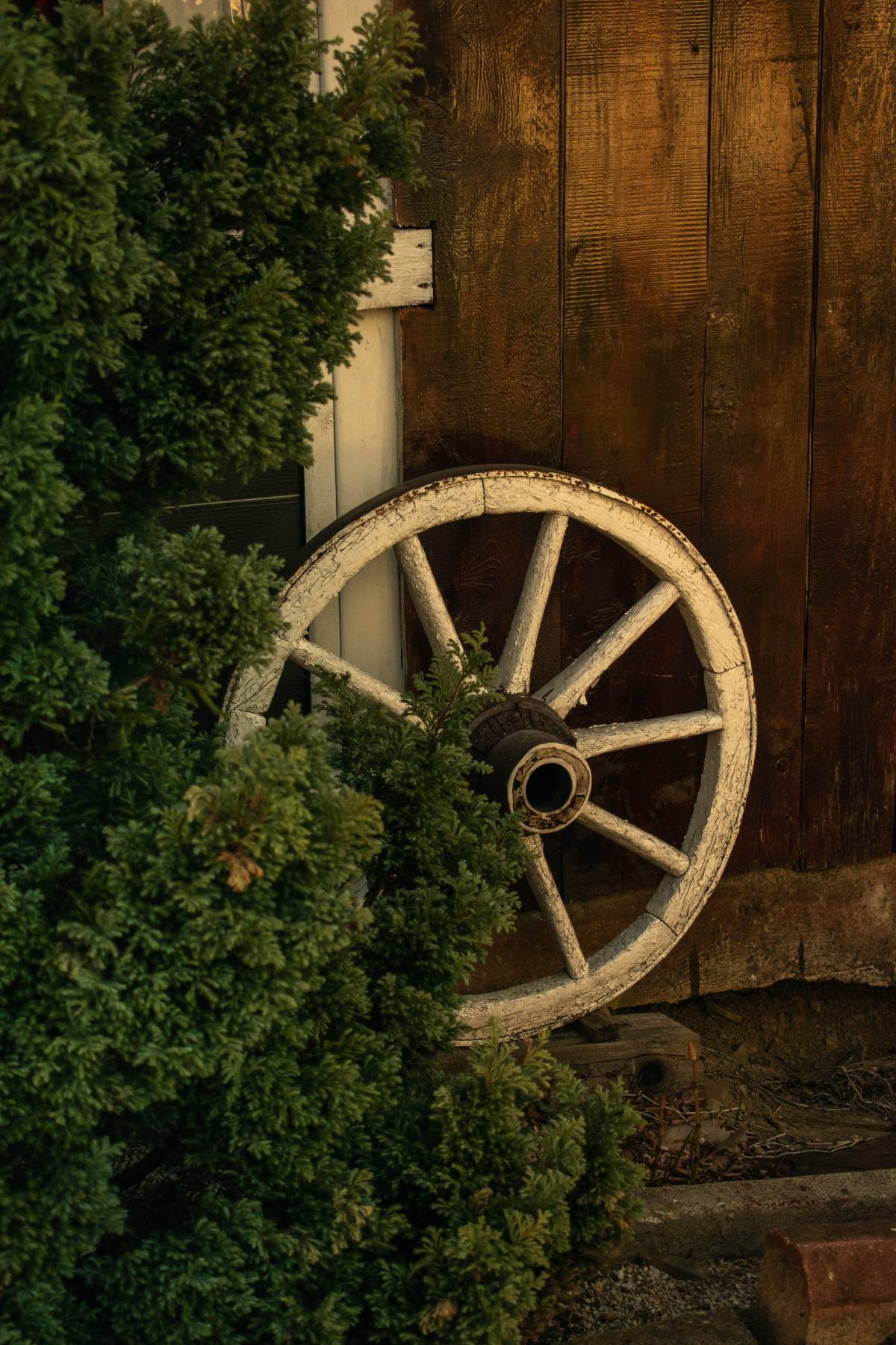 cazare in inima maramuresului la Pensiunea Izisoara Resort